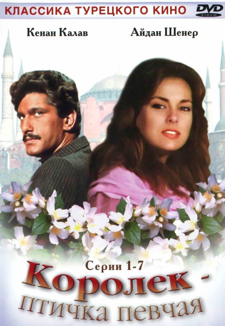 Турецкий сериал Королек – птичка певчая Королек – птичка певчая