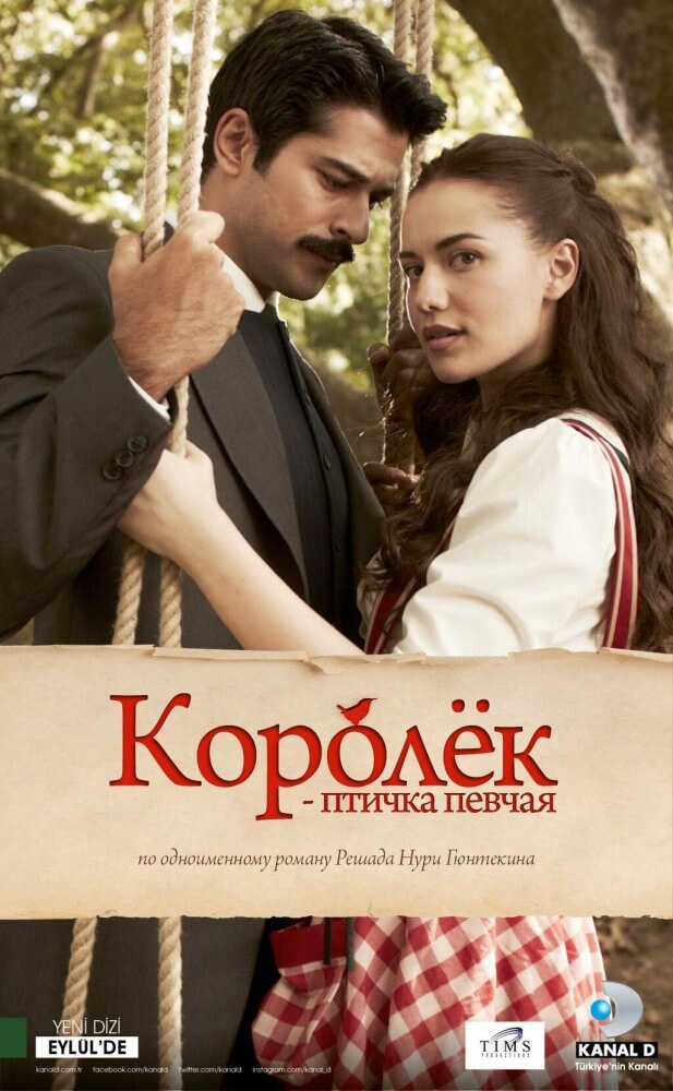 Турецкий сериал Королек – птичка певчая (2013 - 2014) Постер турецкого сериала Королек – птичка певчая (2013 - 2014)